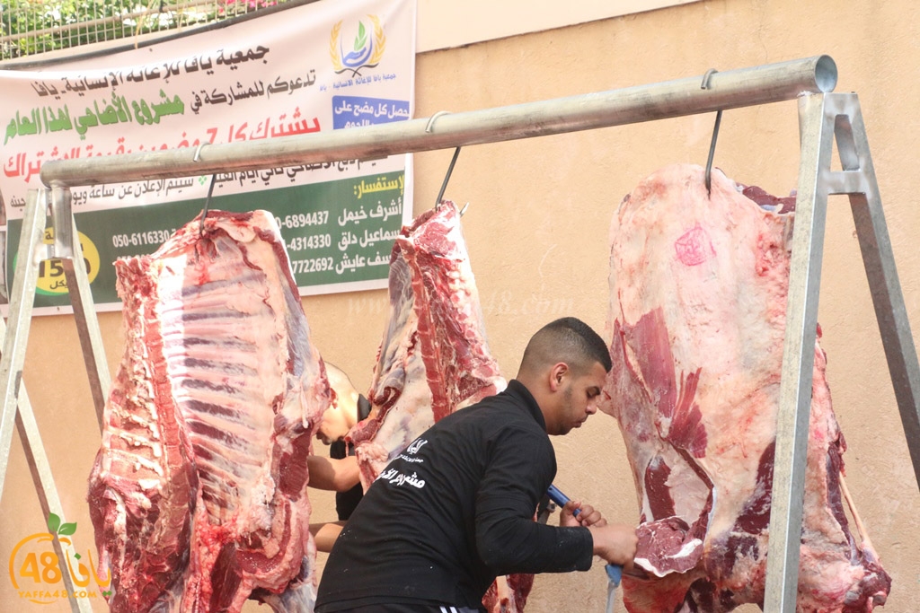 ada7y forthei (36).JPG